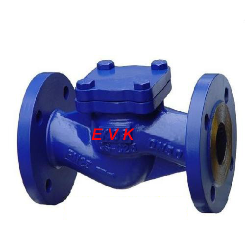 Check Valves