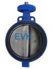 Butterfly Valves