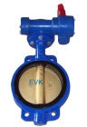 Butterfly Valves