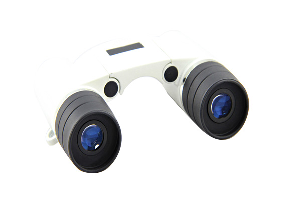 Binocular Telescope