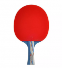 Table Tennis