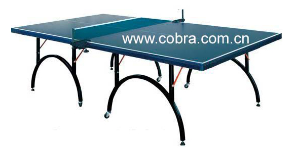 Table Tennis