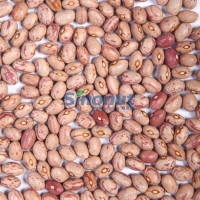 Round Light Speckled Kidney Bean