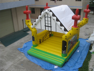 Inflatable Castles