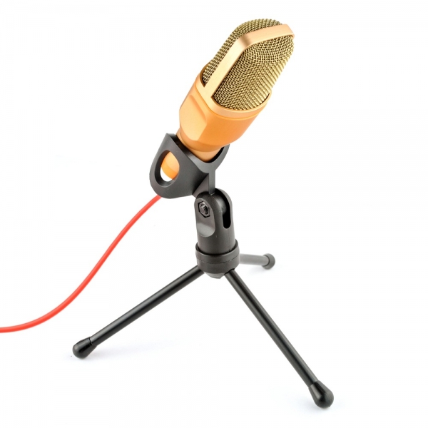 Microphone