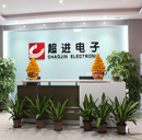 Shenzhen Chaojin Electronics Co., Ltd.