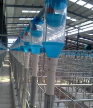 Animal Feeder Equipment