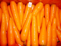 Carrot