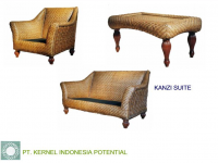 KANZI SUITE