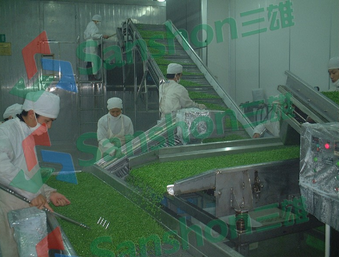 Green beans quick-frozen production line