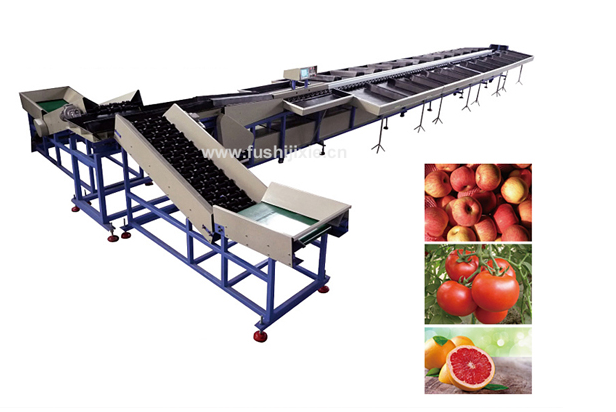 Double Line Electronic Fruit Grading Machine