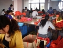 Changshan Jiayun Inflatable Toys Factory