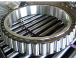 Roller Bearings