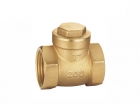 Check Valves