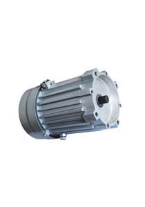 AC Asynchronous Motor