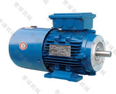 AC Synchronous Motor