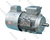 AC Synchronous Motor