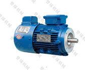 AC Synchronous Motor