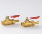 Valves