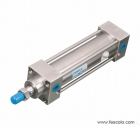 Piston Cylinder