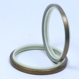 Hydraulic Seal