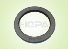 Hydraulic Seal