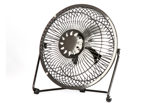 Fan