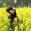 Hangzhou Dexisenli Technology Co., Ltd.
