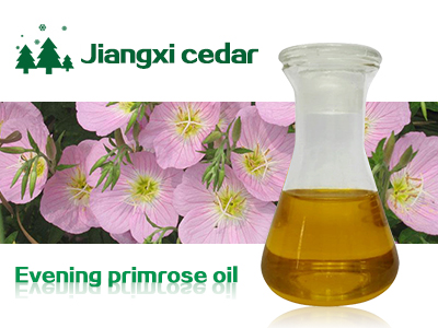 Evening primrose oil