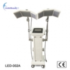 Vertical Multifunction PDT/LED Skin Care Photon Beauty Device