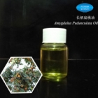 Amygdalus Pedunculata Oil