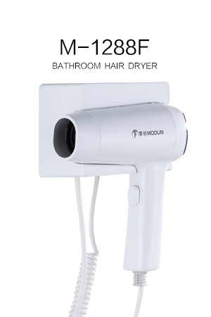 Hair Dryer