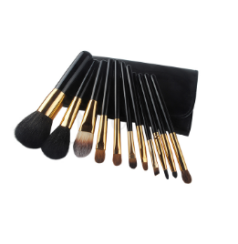 Makeup Brushes