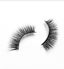 False Eyelashes