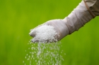 Calcium Ammonium Nitrate