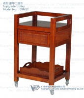 Salon Trolley— 09M11