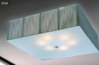 Ceiling Lamp   2325