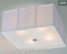 Ceiling Lamp   2329
