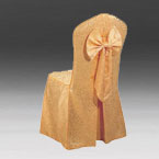 Chair Cover