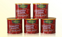 Tomato Paste   850g