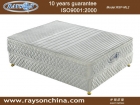 Mattress (RSP-ML2)