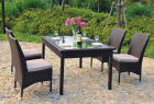 Rattan Dinner Set (GZR-011)