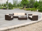 Rattan Sofa Set (GN-9025S)