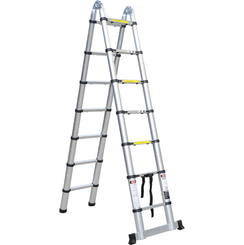 Multi-function ladder