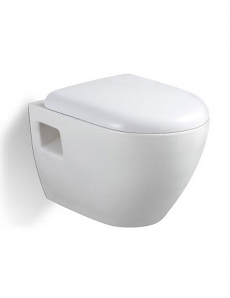 Wall - hung toilet bowl