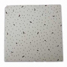 Mineral Fibers Ceiling Board (CB002)