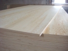 Plywood (MP6)