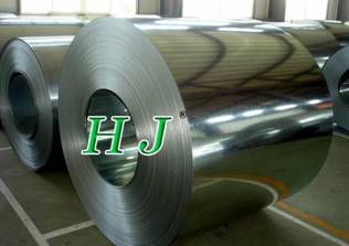 Prepainted Steel Coil (06)