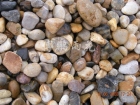 Cobblestone (2-4cm)