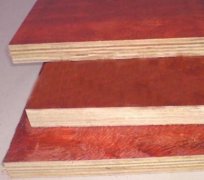 Filmfaced Plywood (82621242816)